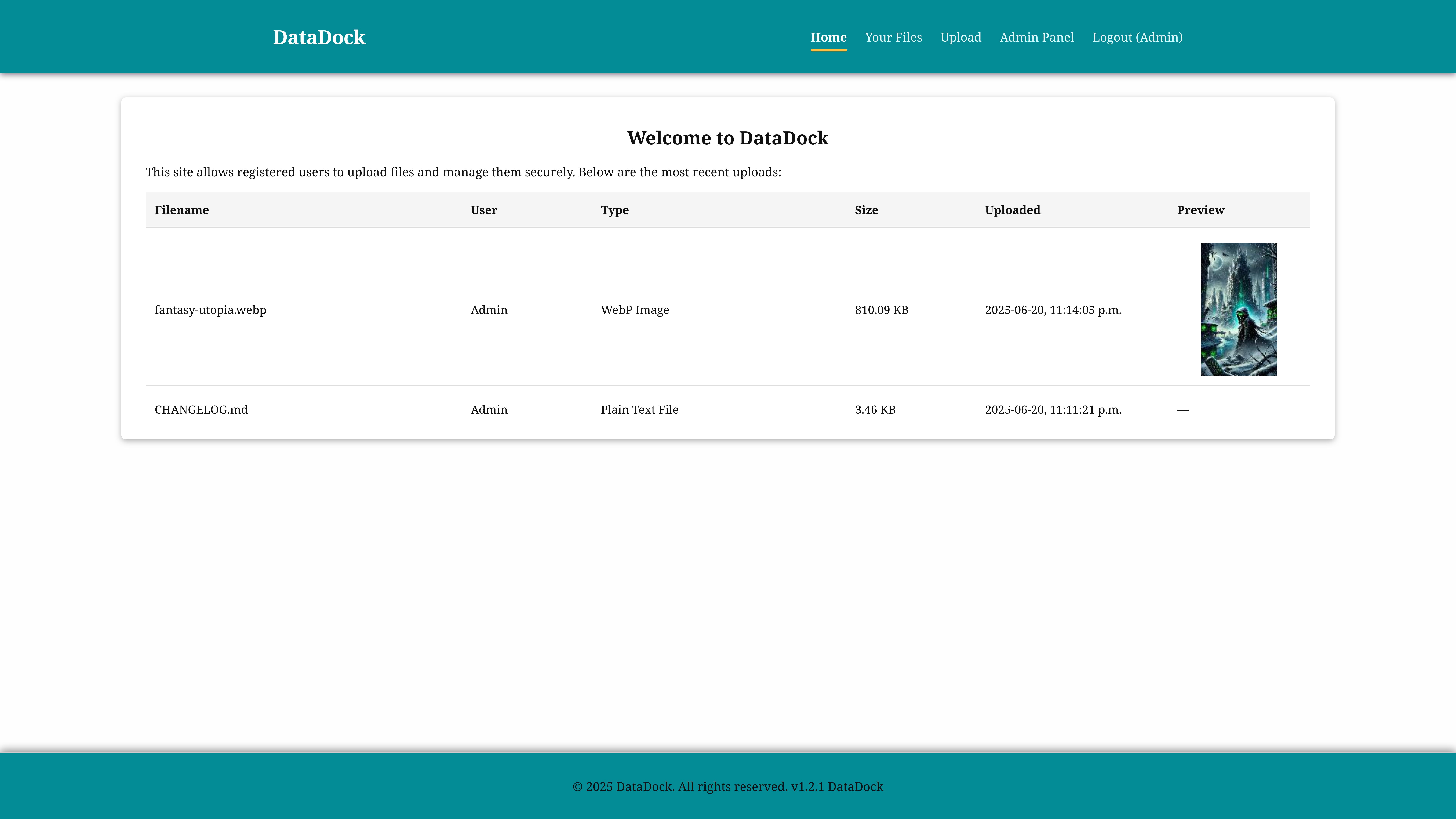 DataDock project screenshot